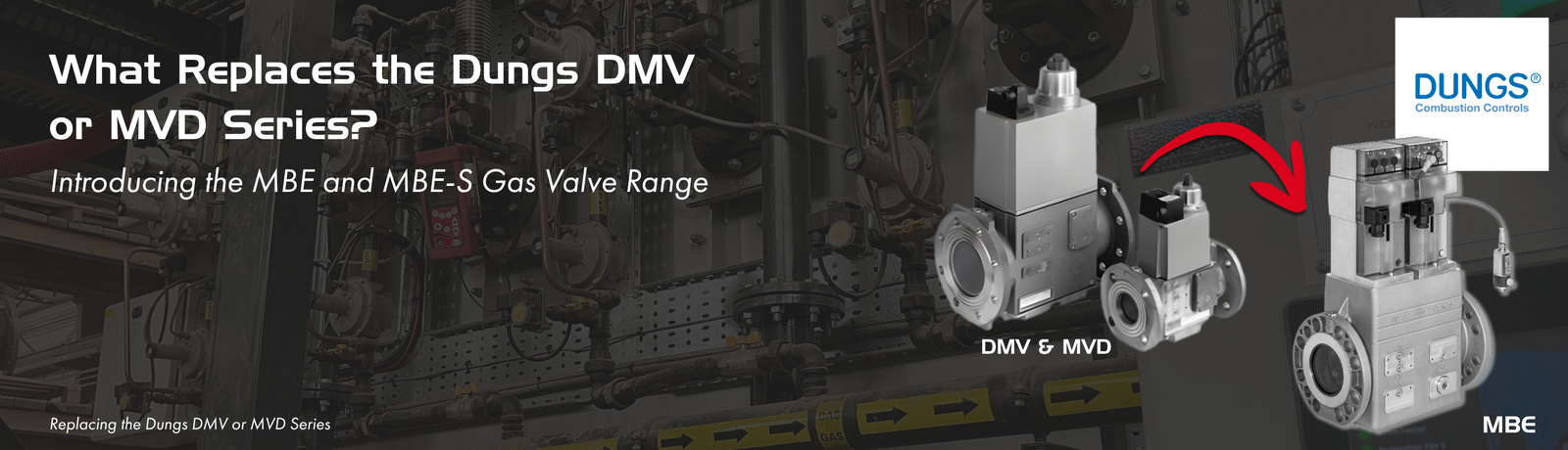 Dungs MBE Range
