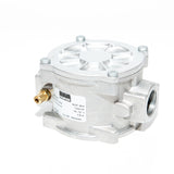 Econex FE220 3/4"RP - 2 Bar Gas Filter