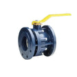 Econex SFF40 1.5" Flanged Ball Valve-Ball Valve